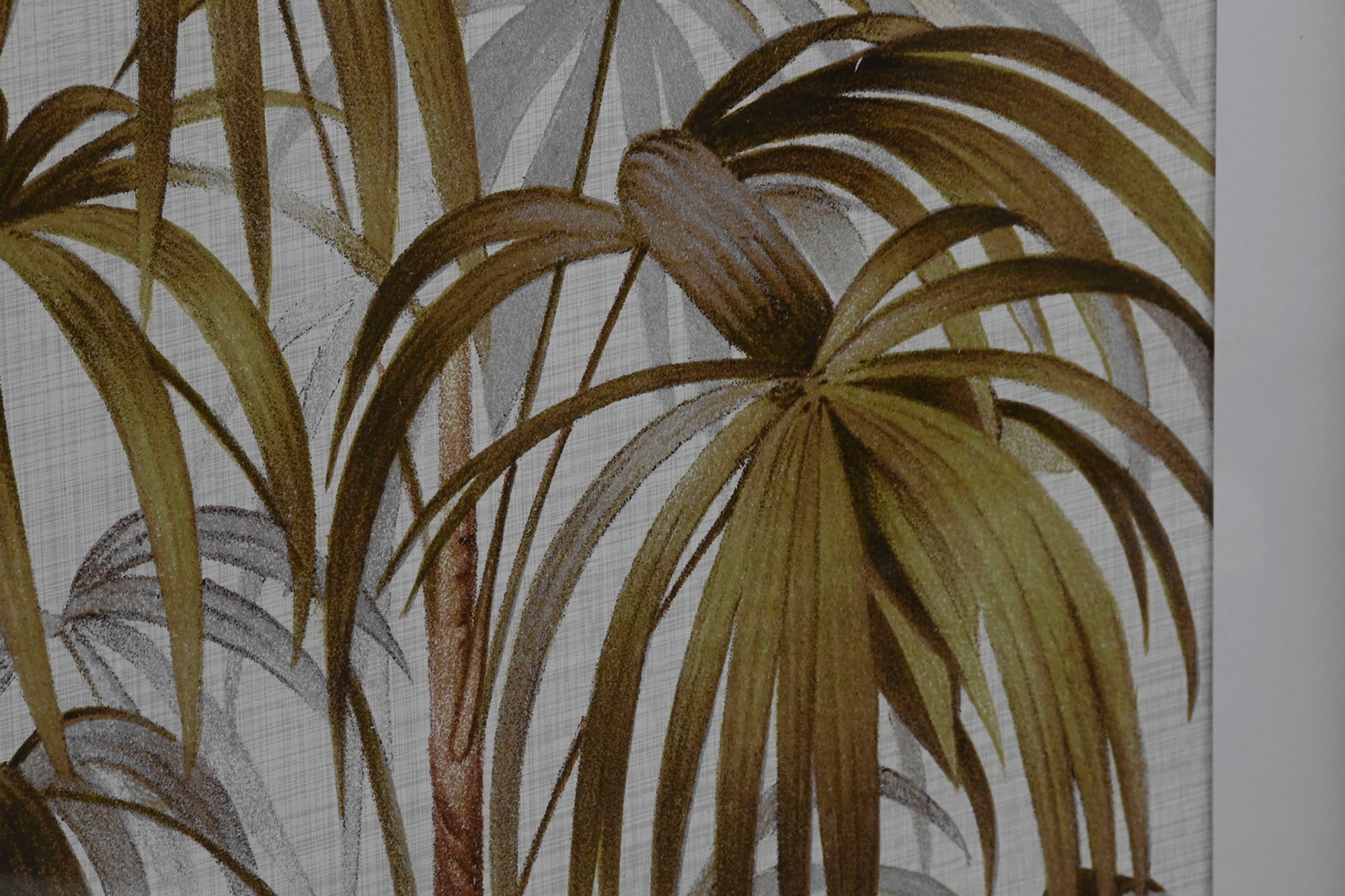 Cuadro Cristal Abeto 55X3X70 Palmera 4 Surt.