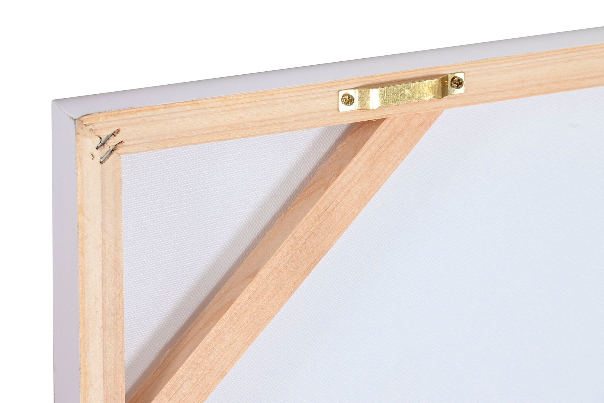MDF Canvas Picture 80X2.5X60 Horse 2 Assorted.