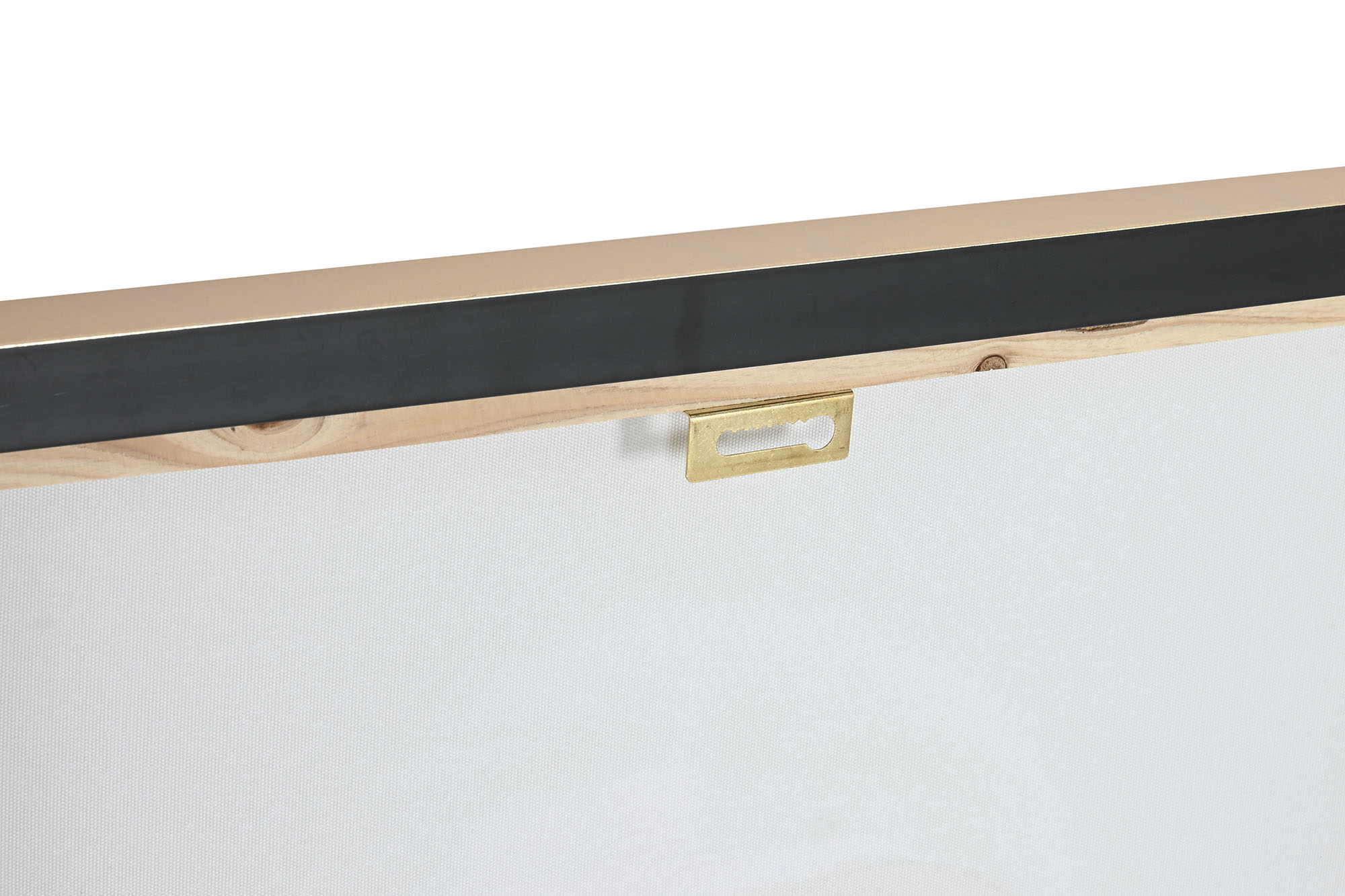 Cuadro Lienzo Ps 52,5X3X72,5 Chimpance 2 Surt.