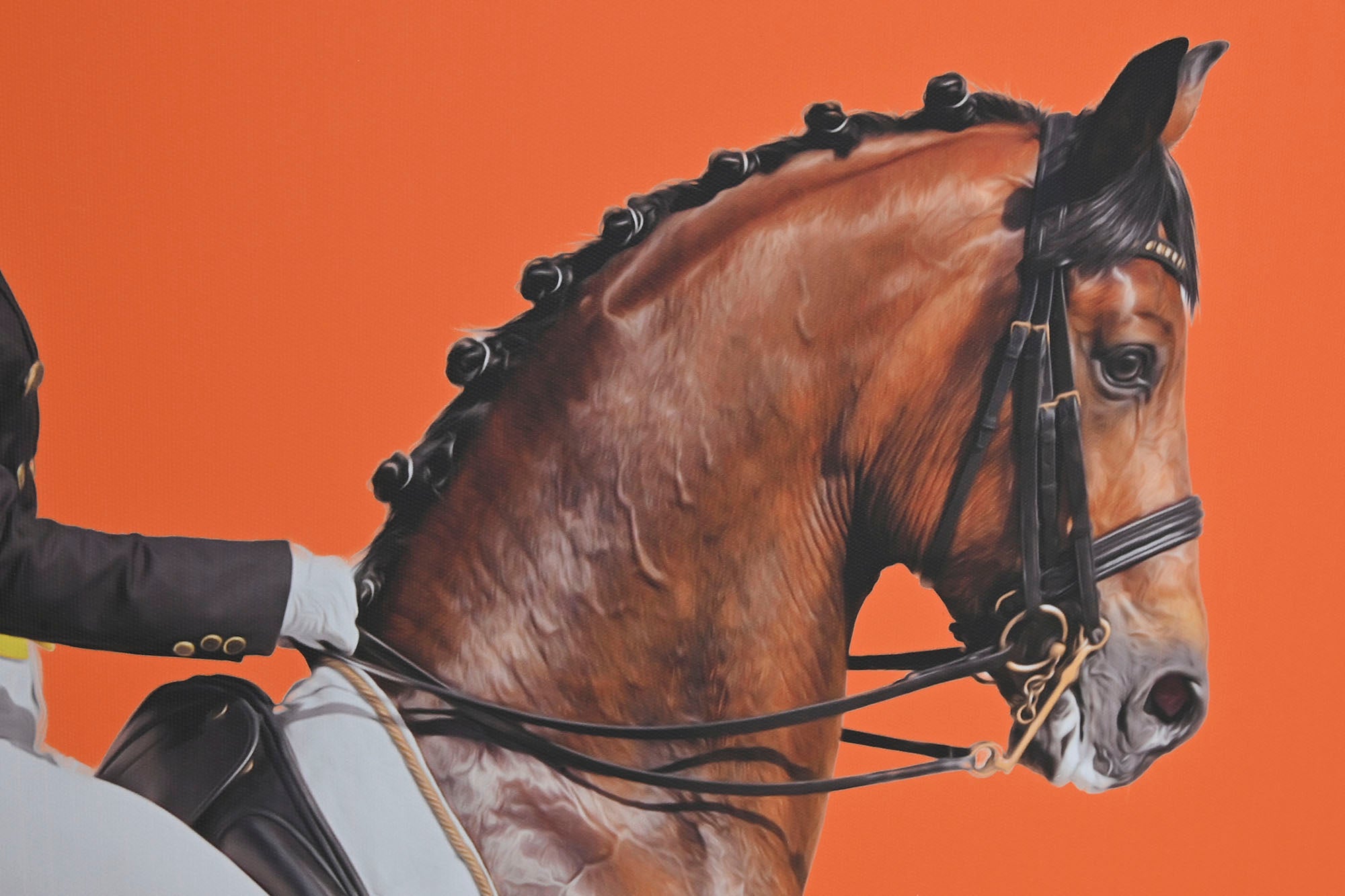 Canvas Painting Ps 60X4X90 Horse 2 Assortment.