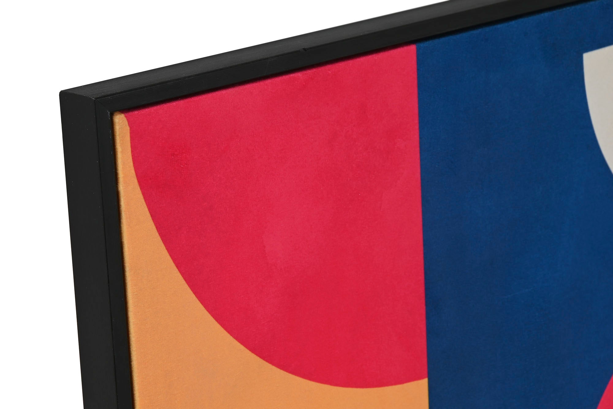 Canvas Painting Velvet 63X3X83 Modern 2 Assorted.