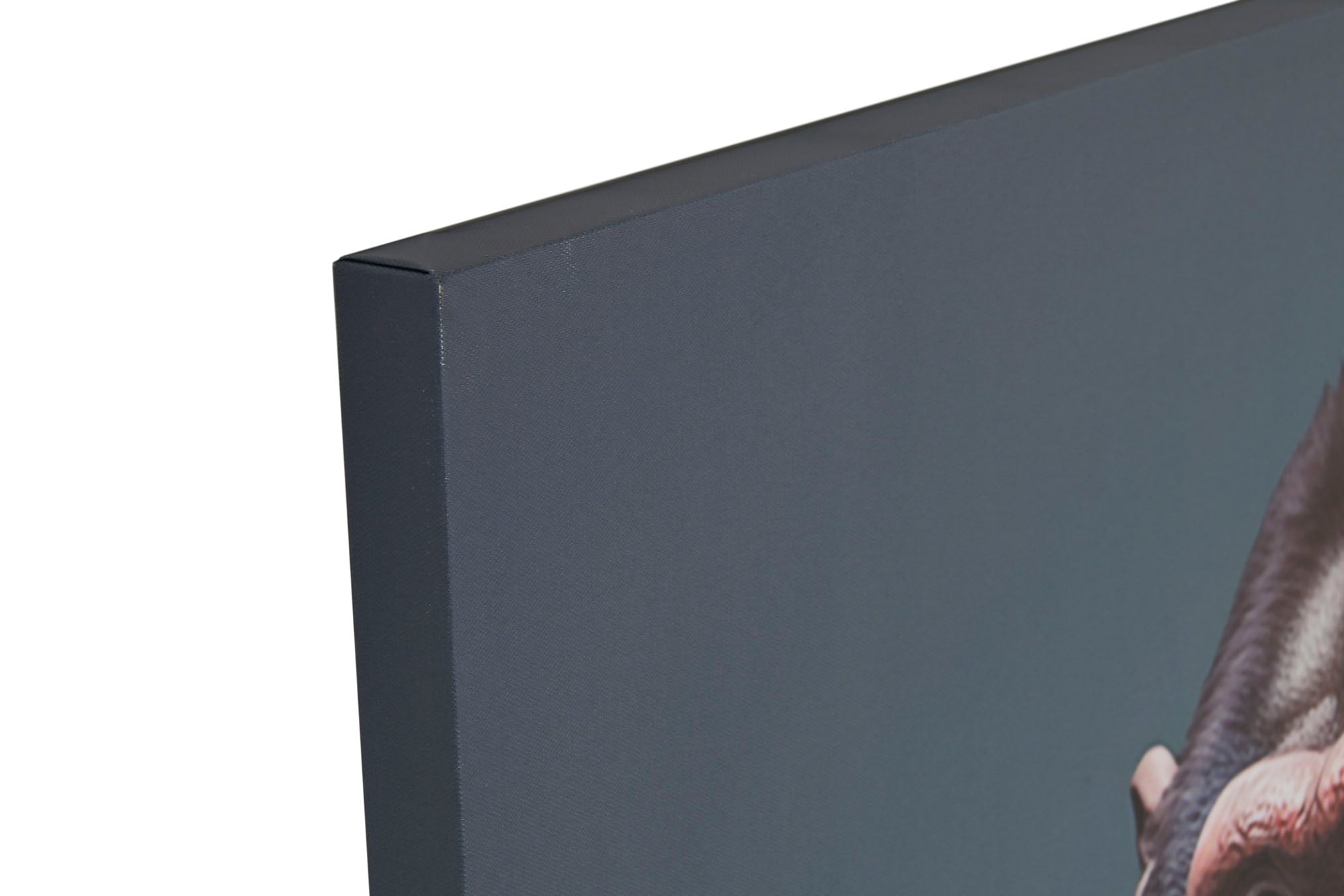 Canvas Painting 80X3X120 Photoprinted 2 Assorted.