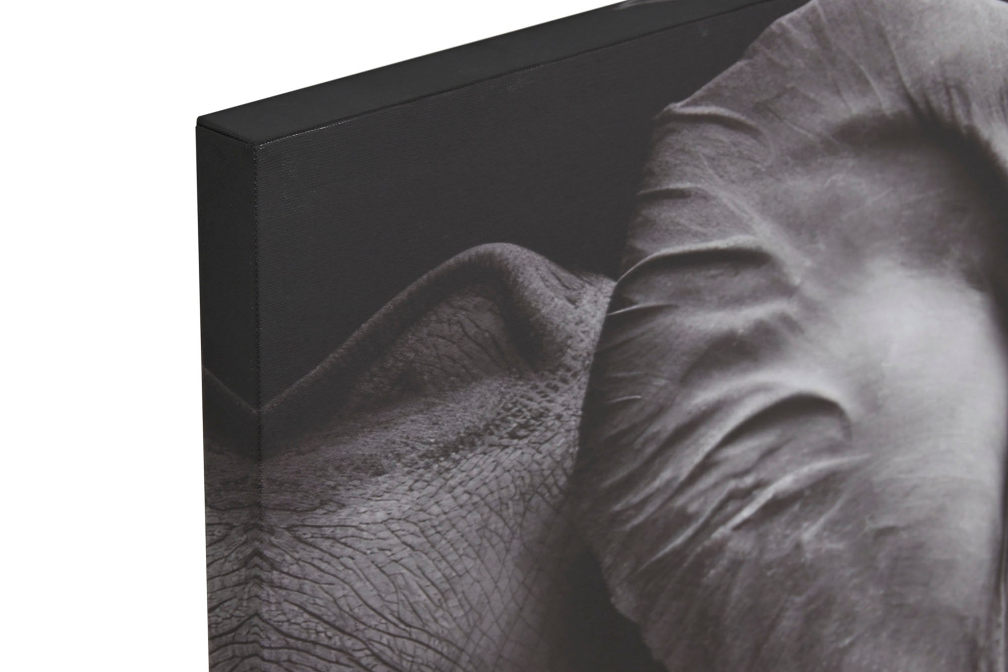 Canvas Painting 120X3X80 Photoprinted 2 Assorted.