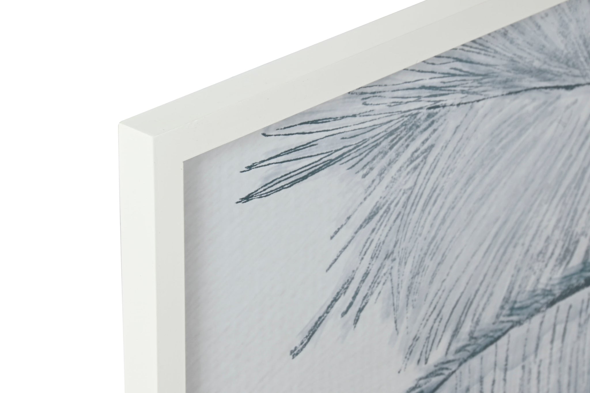 Quadro de vidro de abeto 80X2X60 Palmeira 2 sortidos.