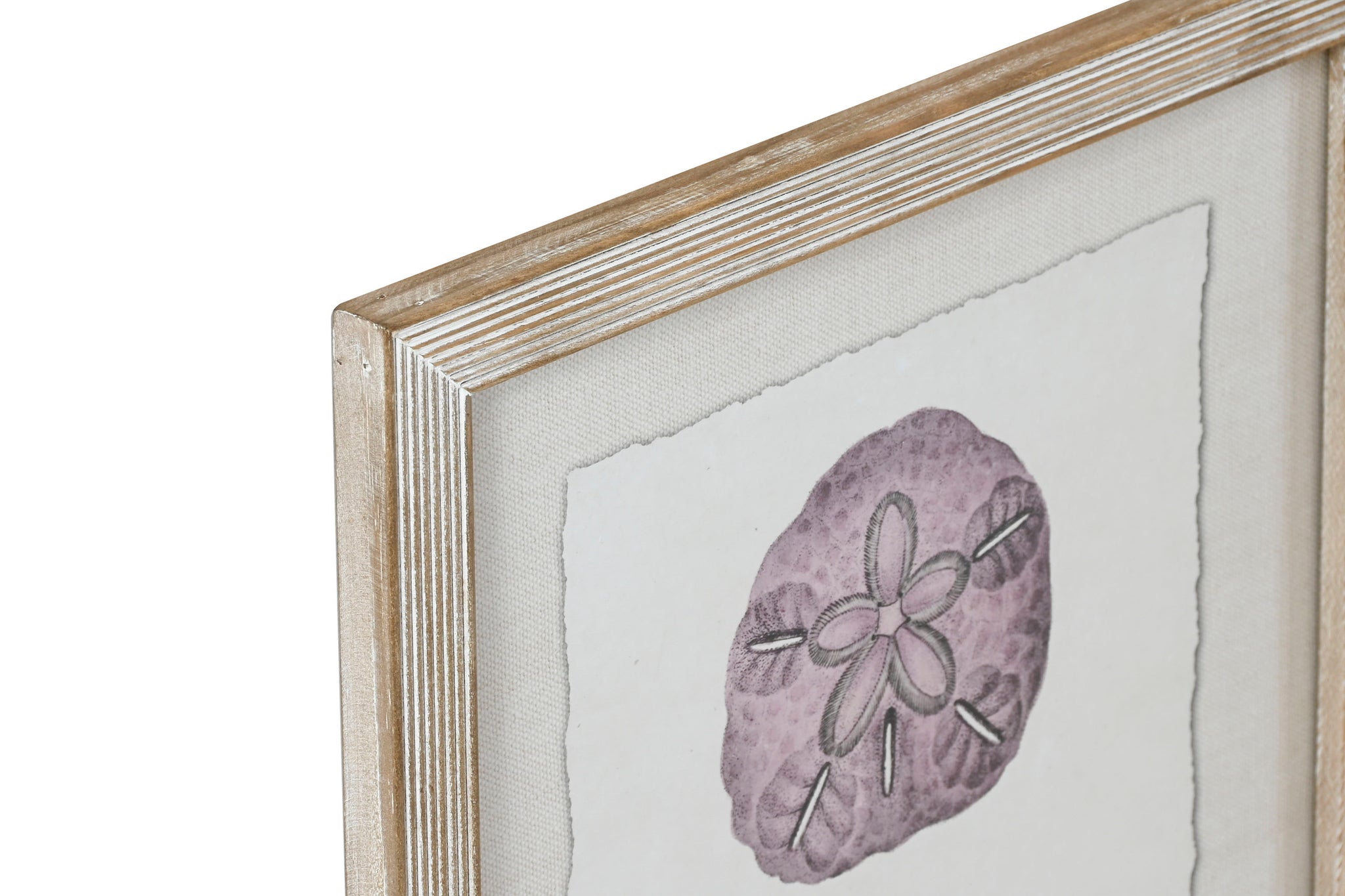 Quadro de cristal de abeto 35X2X45 Coral 9 sortidos.