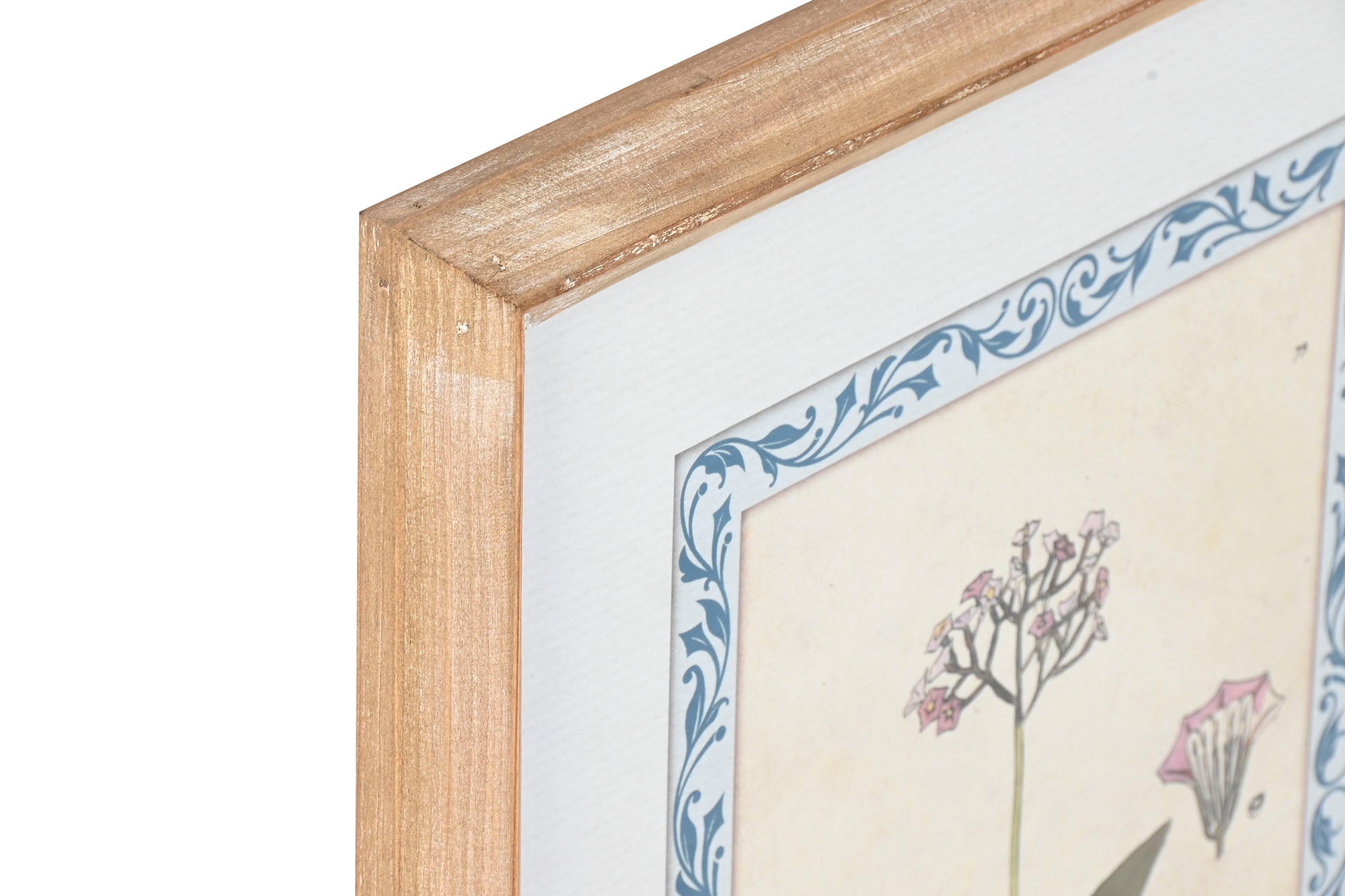 Cuadro Cristal Mdf 40X2,5X50 Botanico 4 Surt.