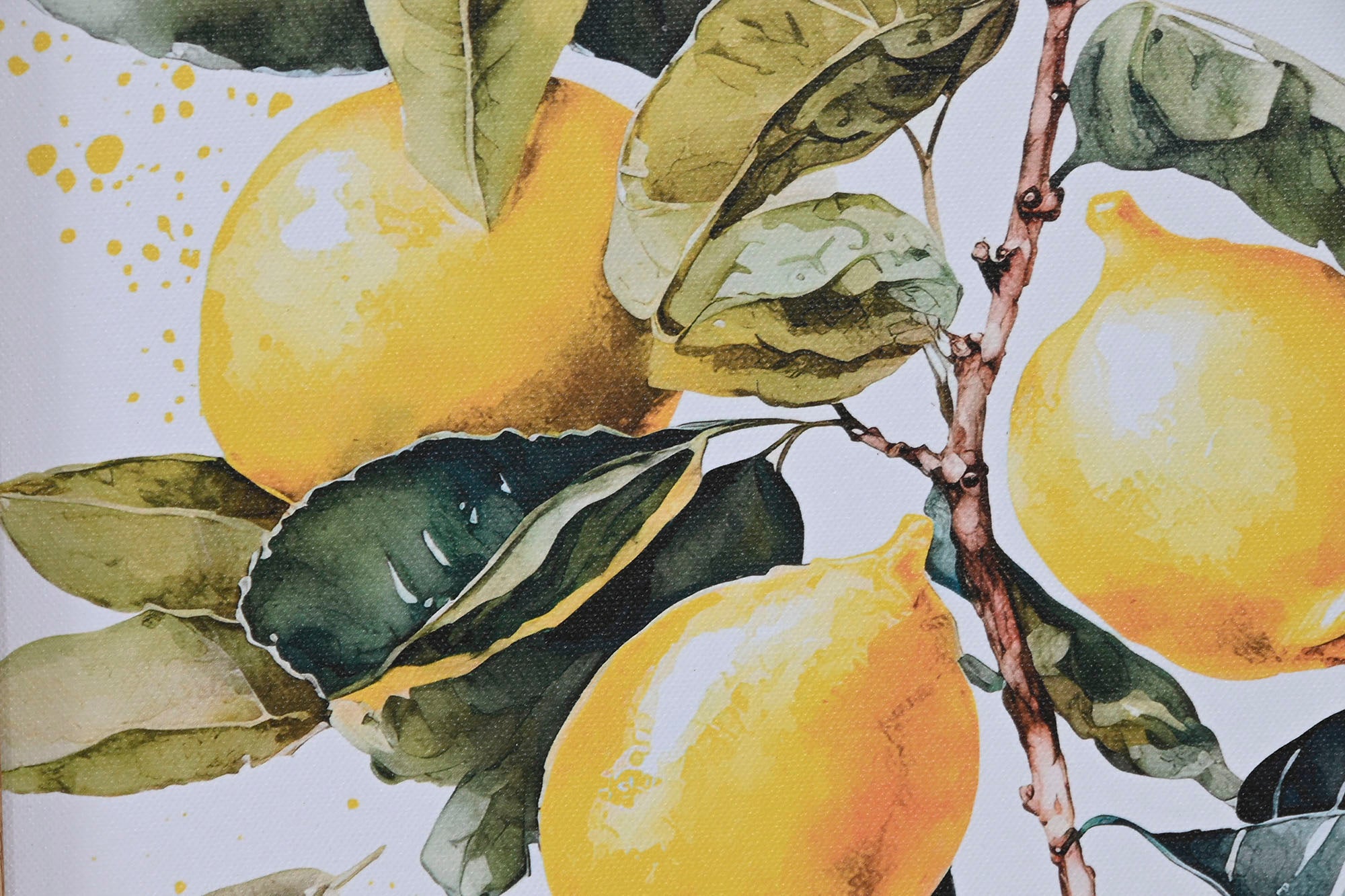 Cuadro Lienzo Ps 30X1,8X40 Limones 2 Surt.