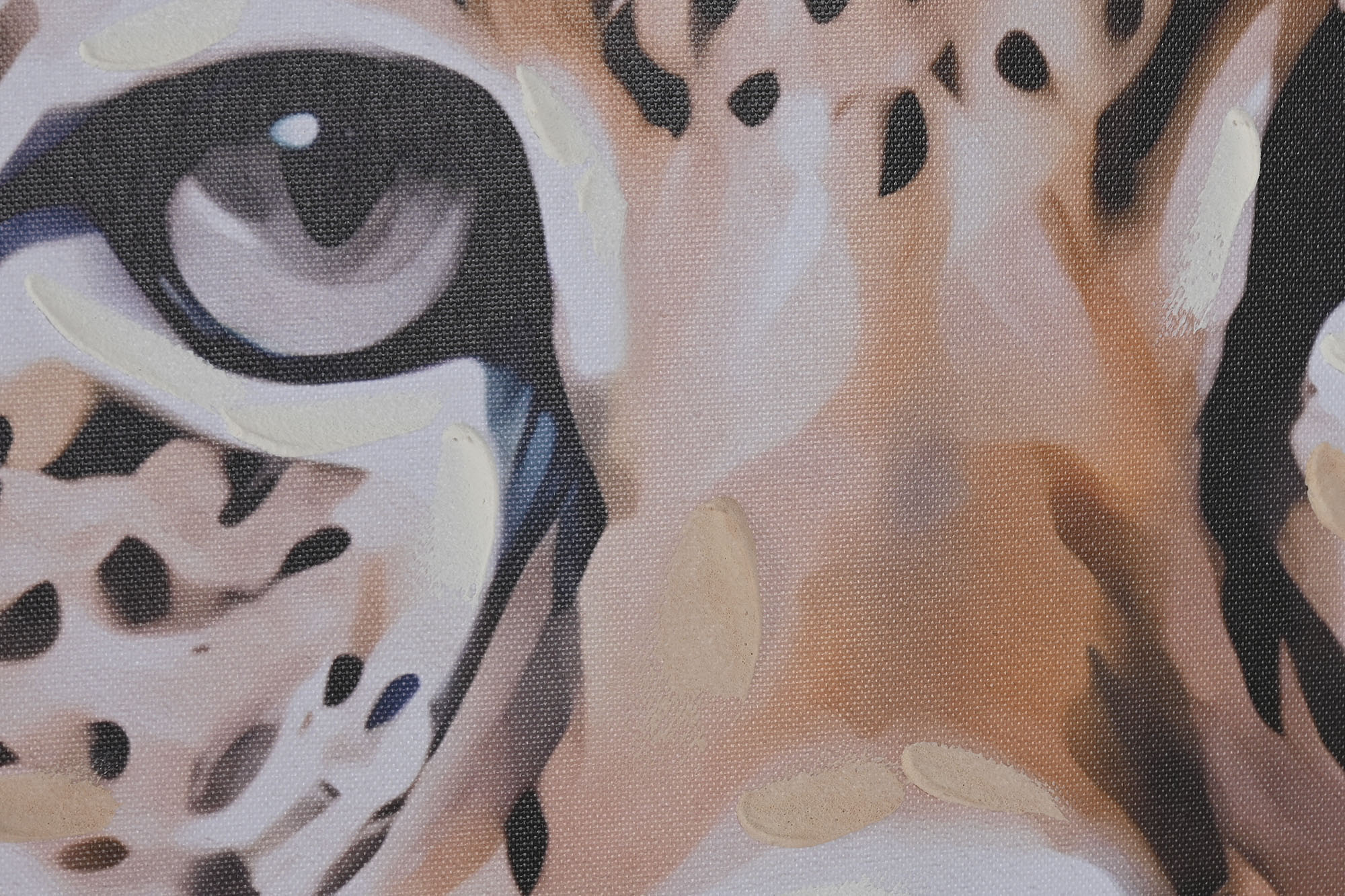Cuadro Lienzo Ps 82X4X122 Animal Savaje 3 Surt.