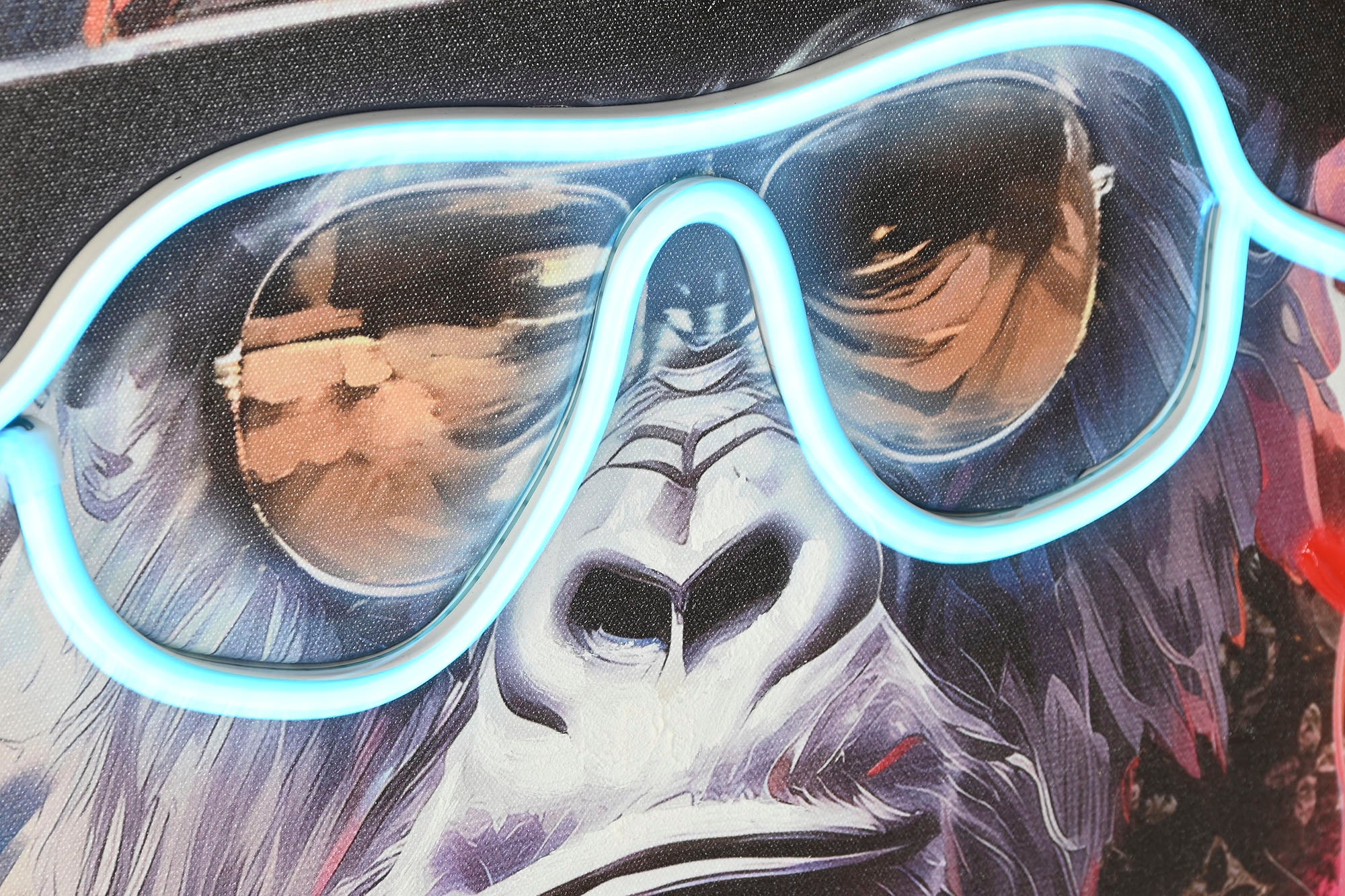 Cuadro Led Lienzo 83X3,7X83 Mono Gafas 2 Surt.