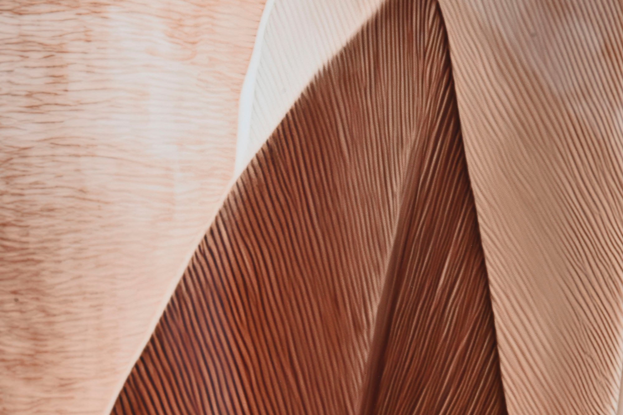 Cuadro Aluminio 80X3,5X160 Hojas Palmera 2 Surt.