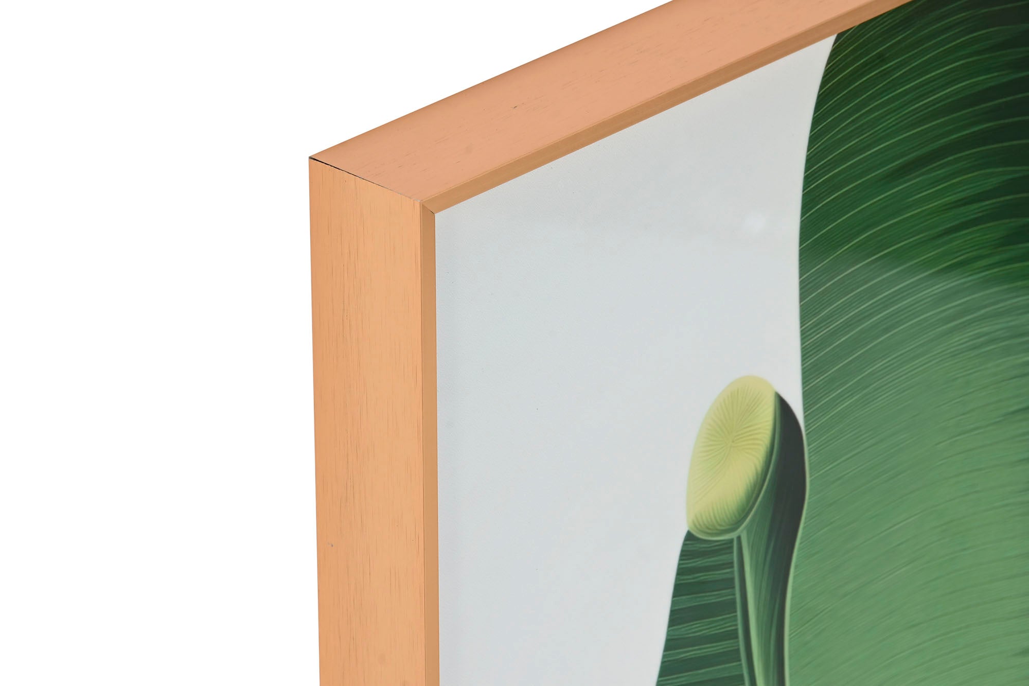 Cuadro Aluminio 80X3,5X80 Hojas Palmera 2 Surt.