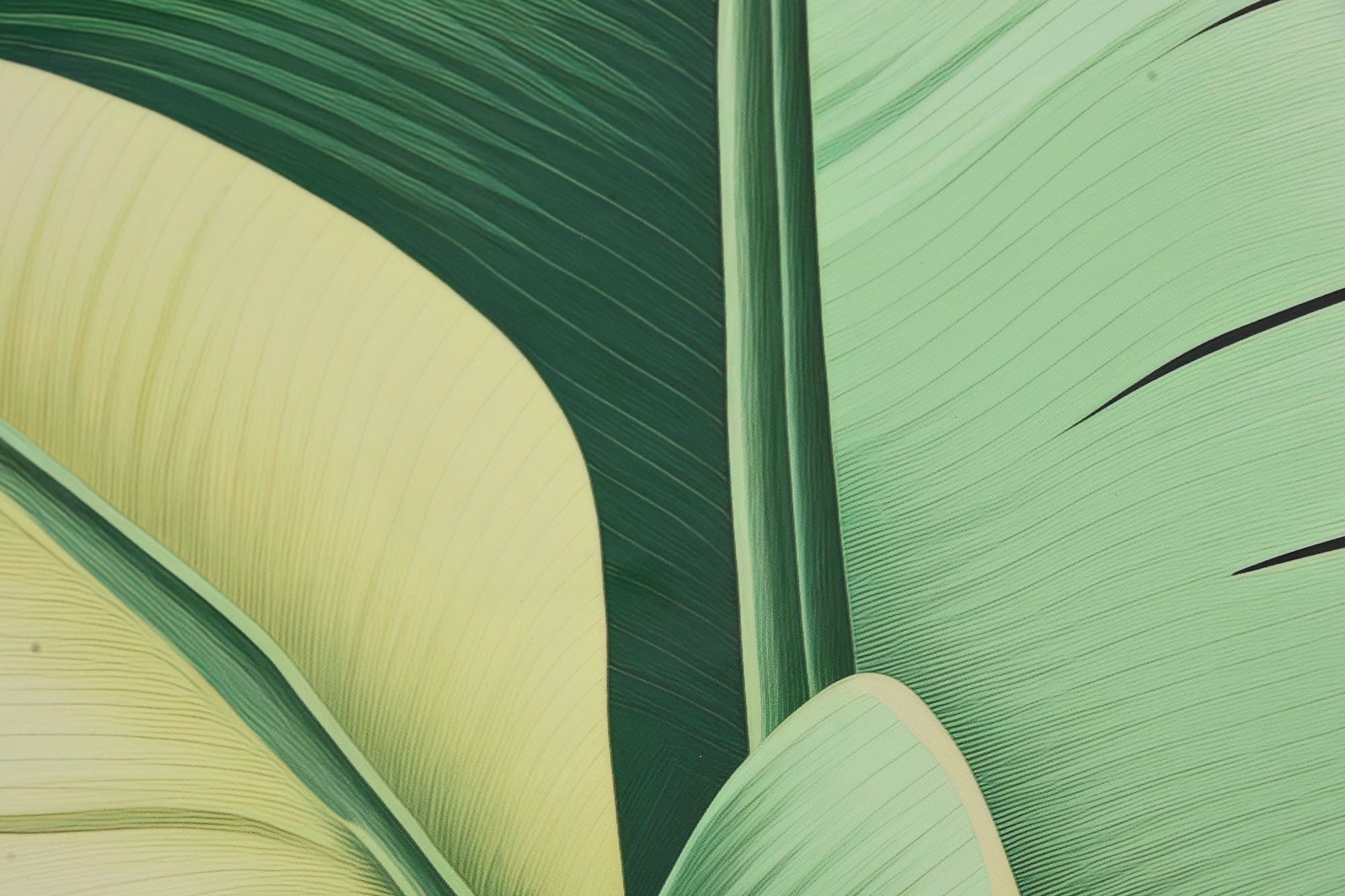 Cuadro Aluminio 80X3,5X80 Hojas Palmera 2 Surt.