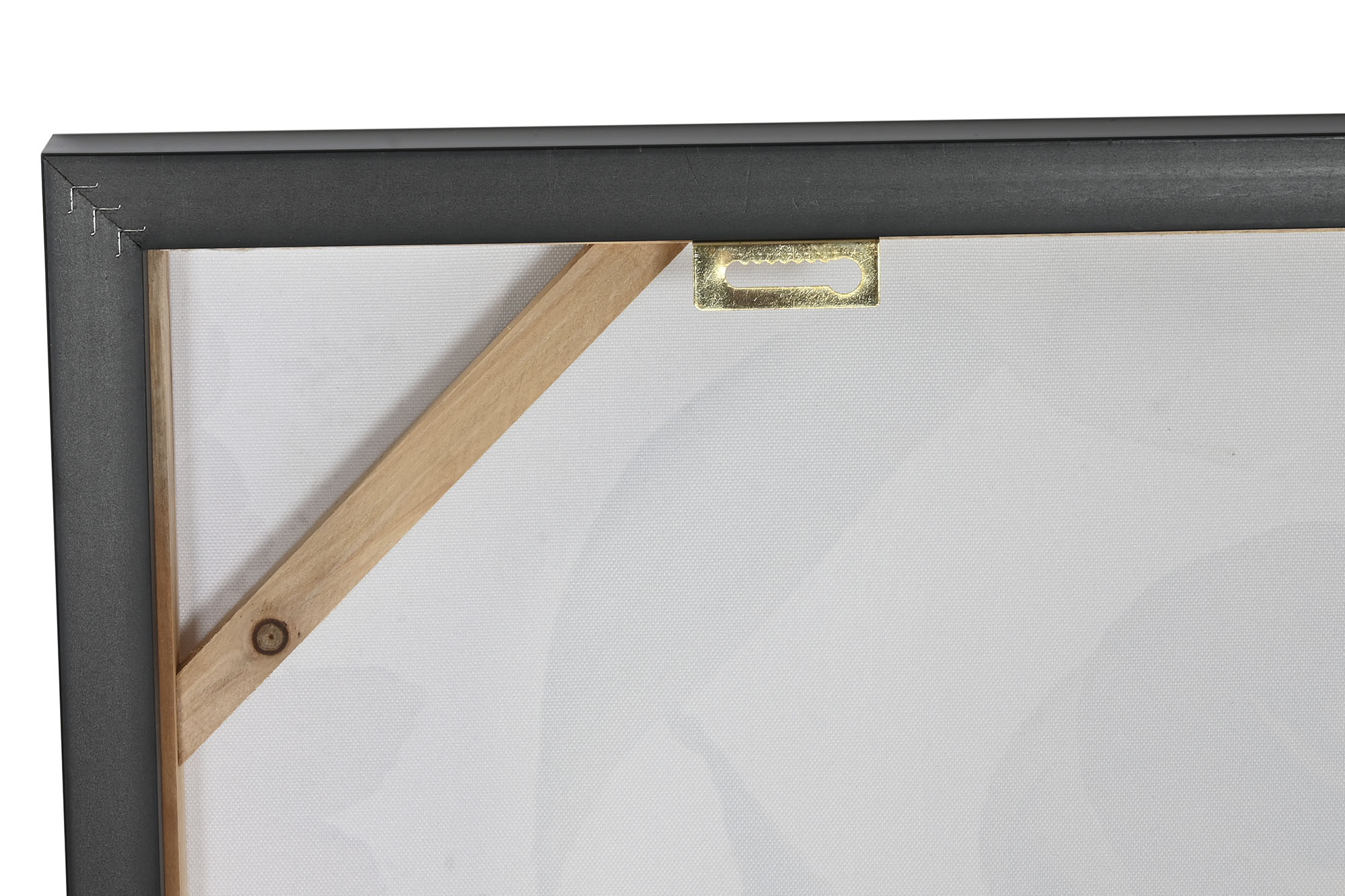 Cuadro Lienzo Mdf 102X4X102 Leon Elefante 2 Surt.