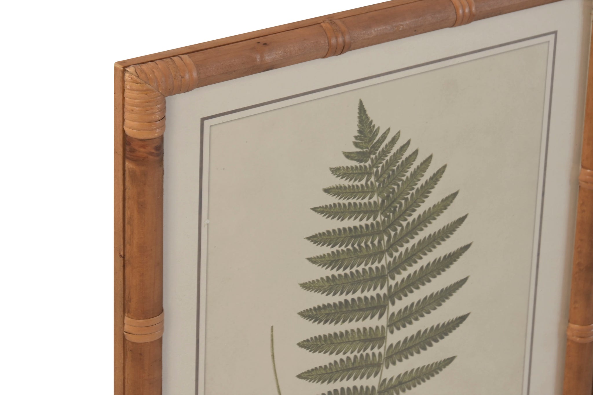 Cuadro Bambu Cristal 40X2,5X50 Botanico 9 Surt.