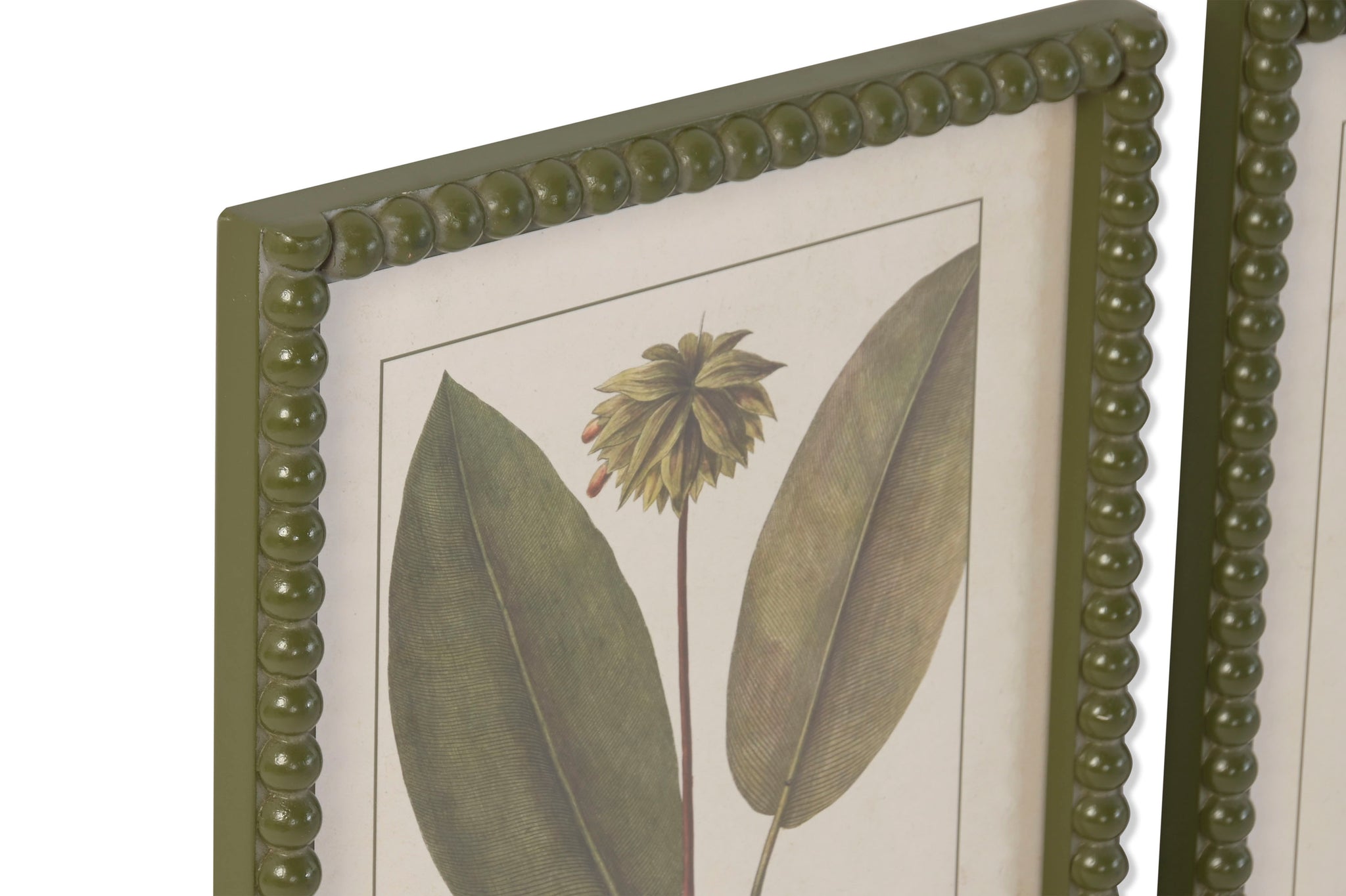 Cuadro Abeto Cristal 30X2,5X40 Botanico 6 Surt.