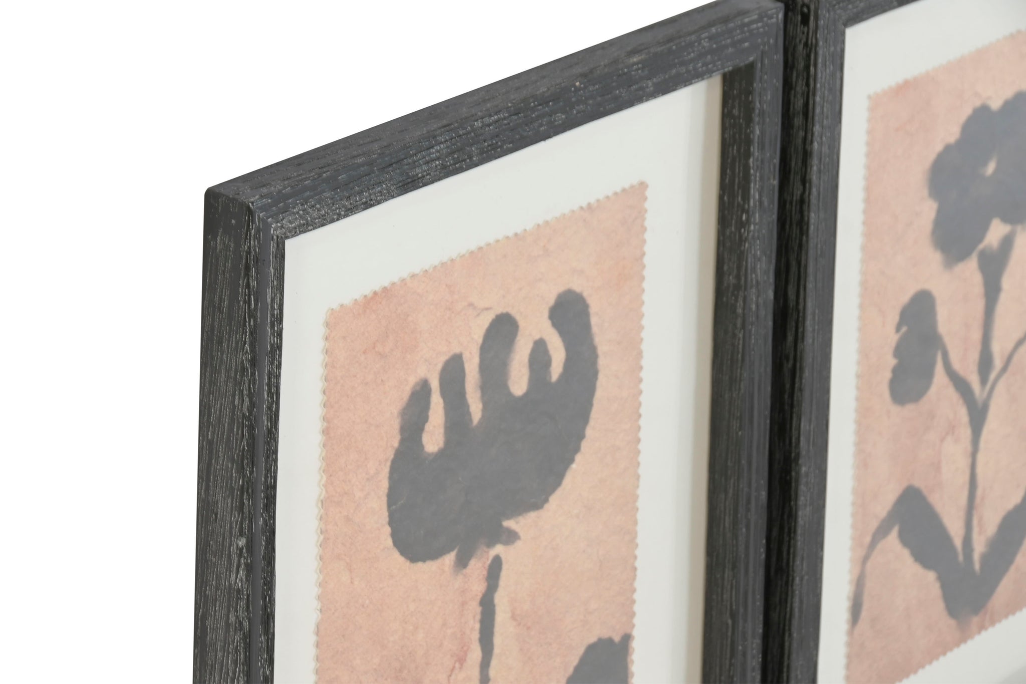 Cuadro Abeto Cristal 30X2X40 Botanico 9 Surt.