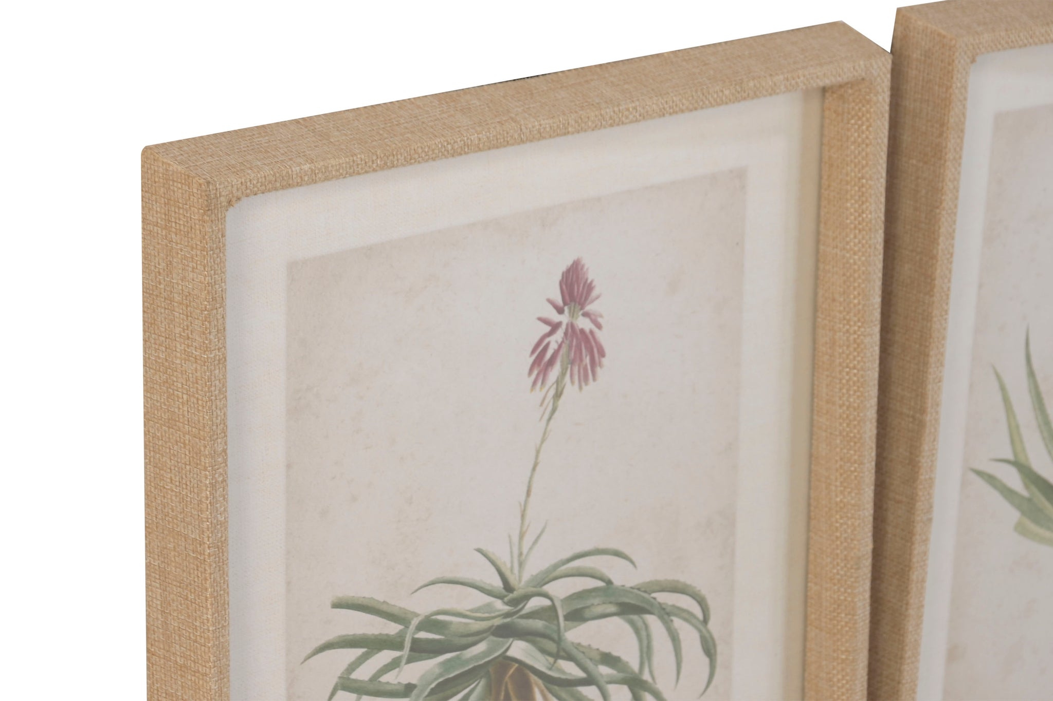 Cuadro Abeto Cristal 30X2X40 Palmera 6 Surt.