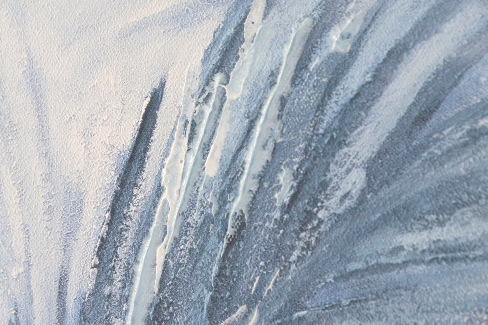 Cuadro Lienzo Ps 82,5X3,5X122,5 Palmera 2 Surt.