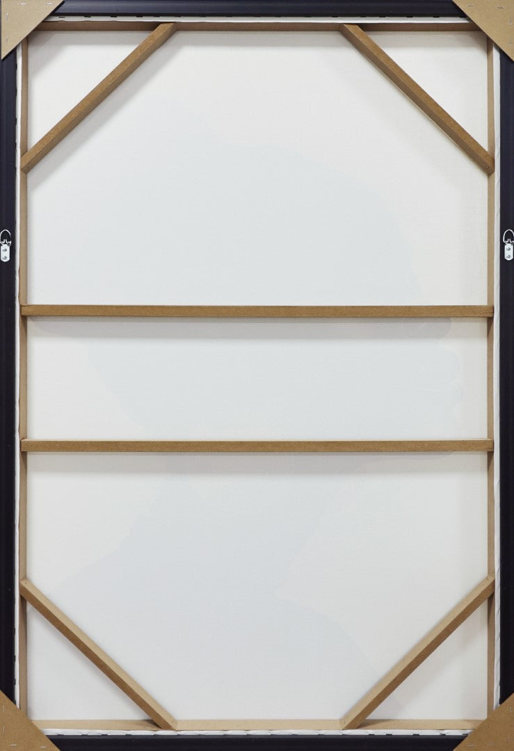 Cuadro Lienzo Ps 83X4X123 Moderno 2 Surt.