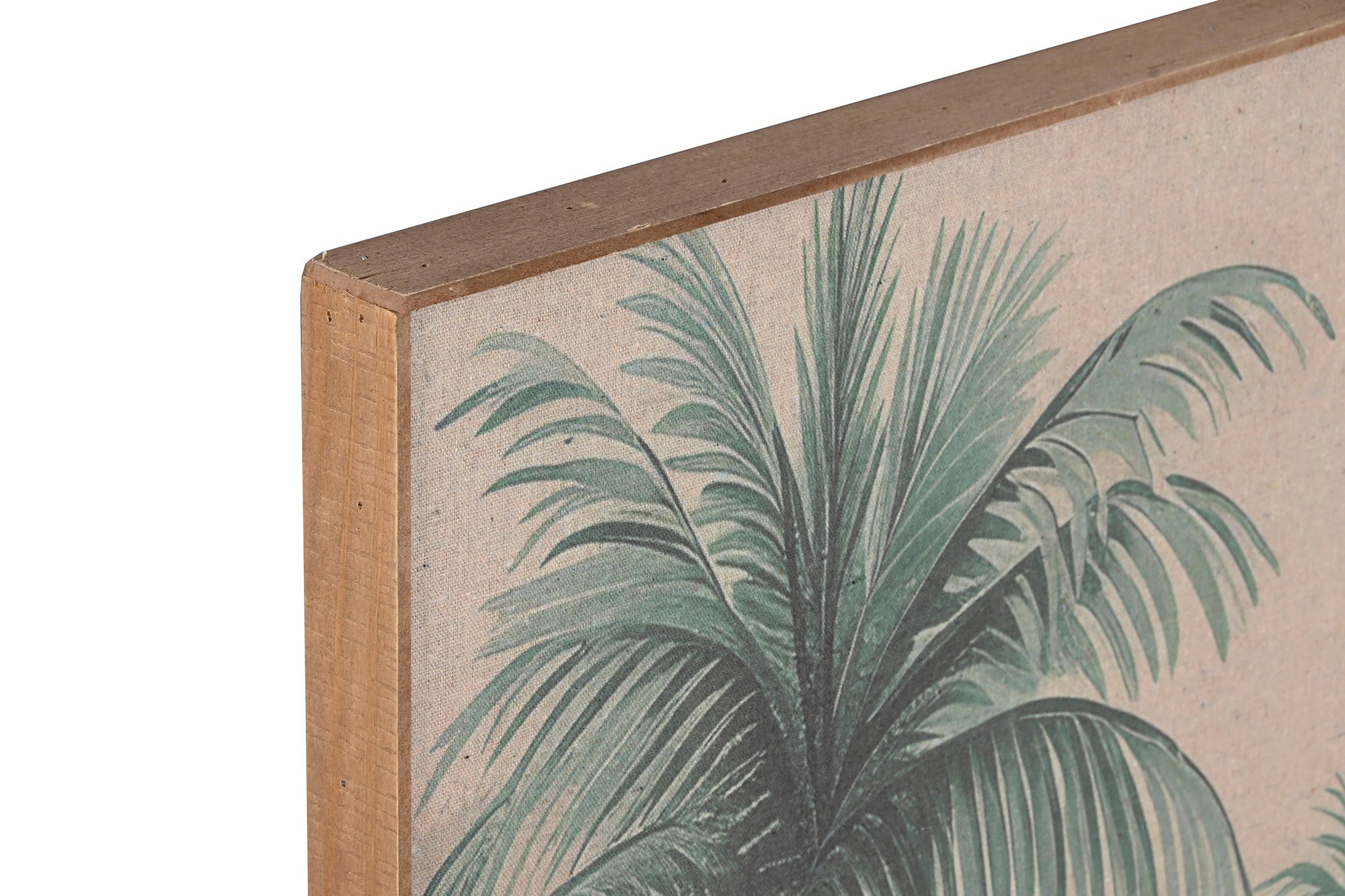 Cuadro Lino Abeto 120X3,5X80 Palmeras 2 Surt.