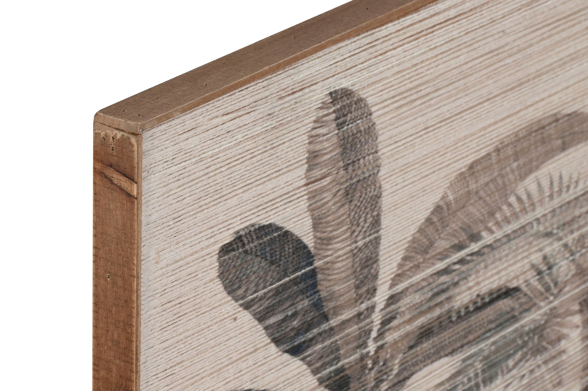 Cuadro Algodon Abeto 120X2,5X70 Palmeras 2 Surt.