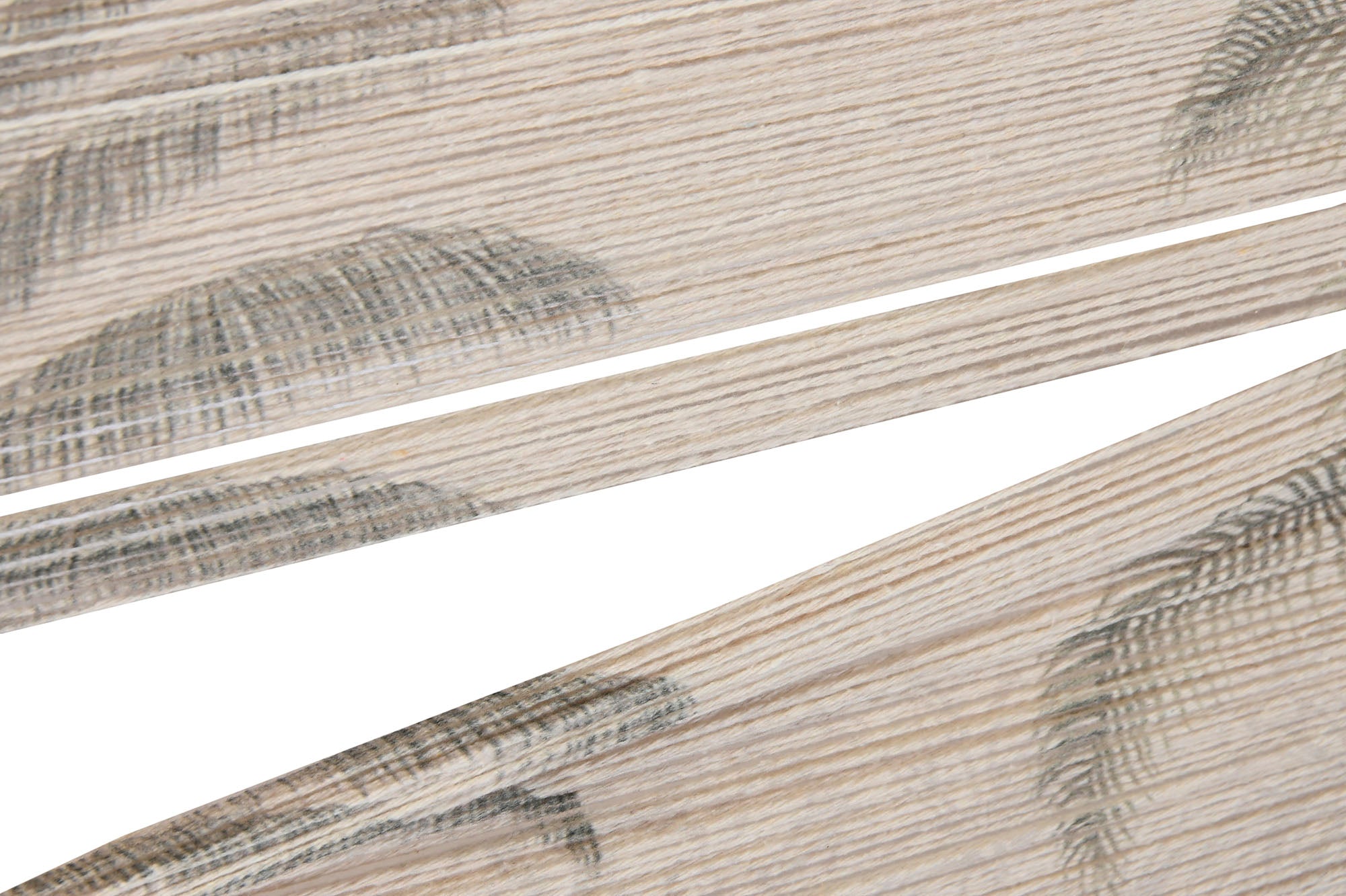 Cuadro Algodon Abeto 120X2,5X70 Palmeras 2 Surt.