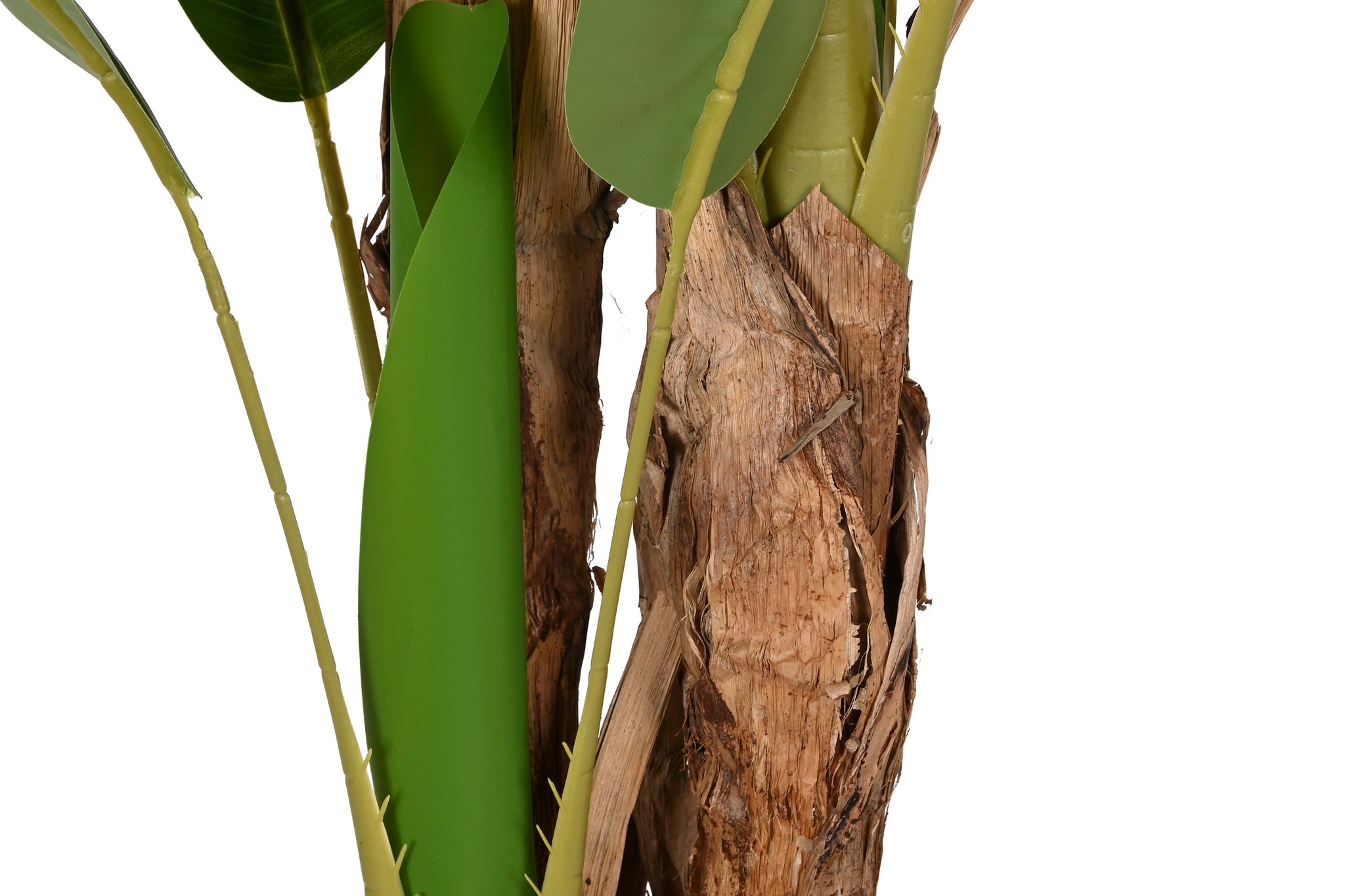 Planta de Cimento 90X90X290 Bananeira Verde