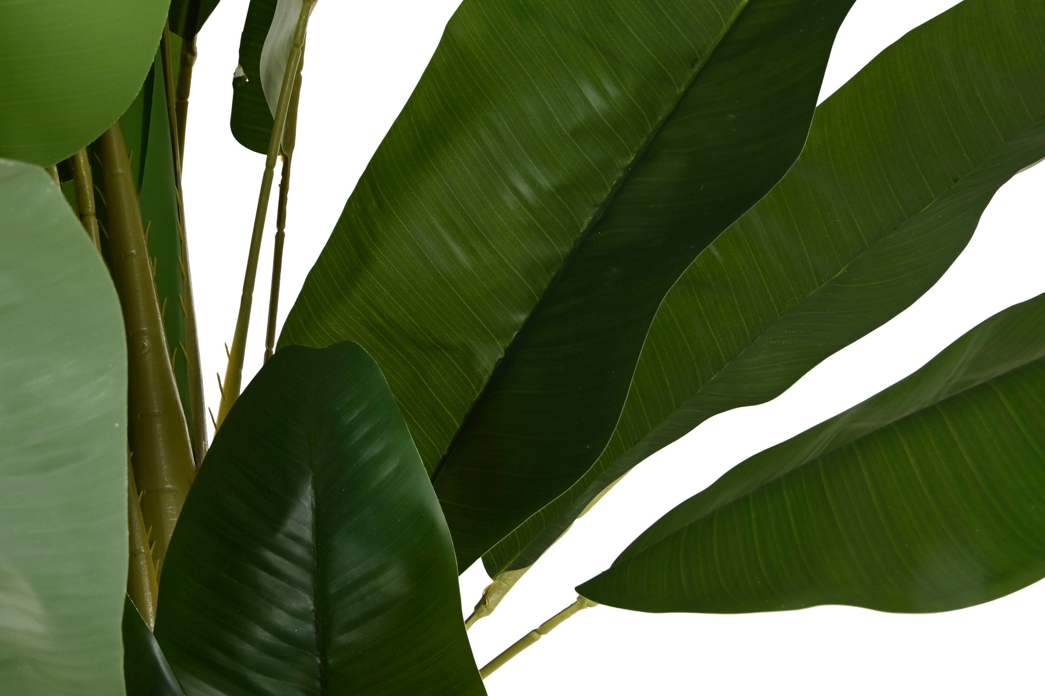 Planta de Cimento 90X90X290 Bananeira Verde