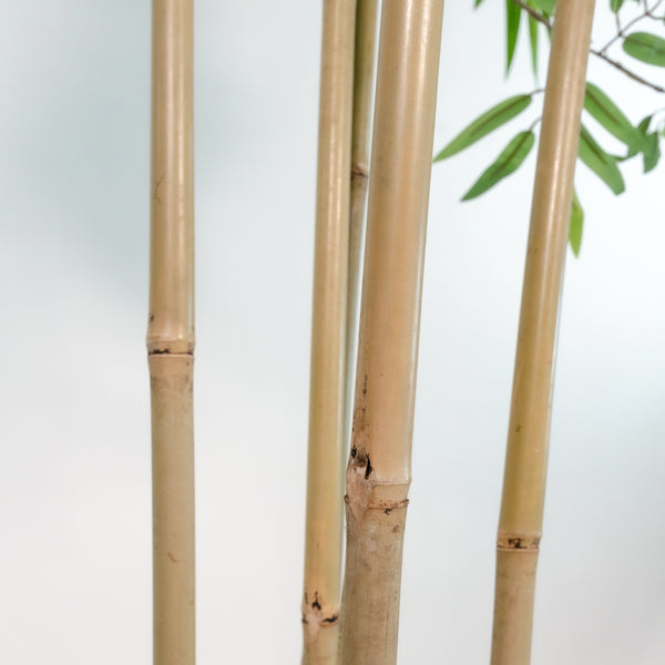 Árvore de bambu de PVC 80X80X180 Bambu Verde