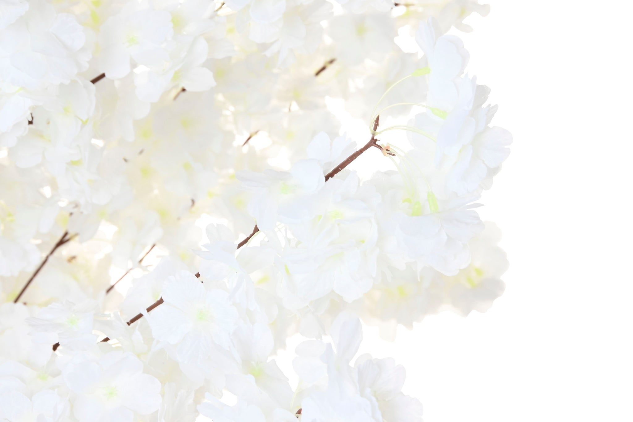 Arbol Pe 80X80X210 Almendro Blanco