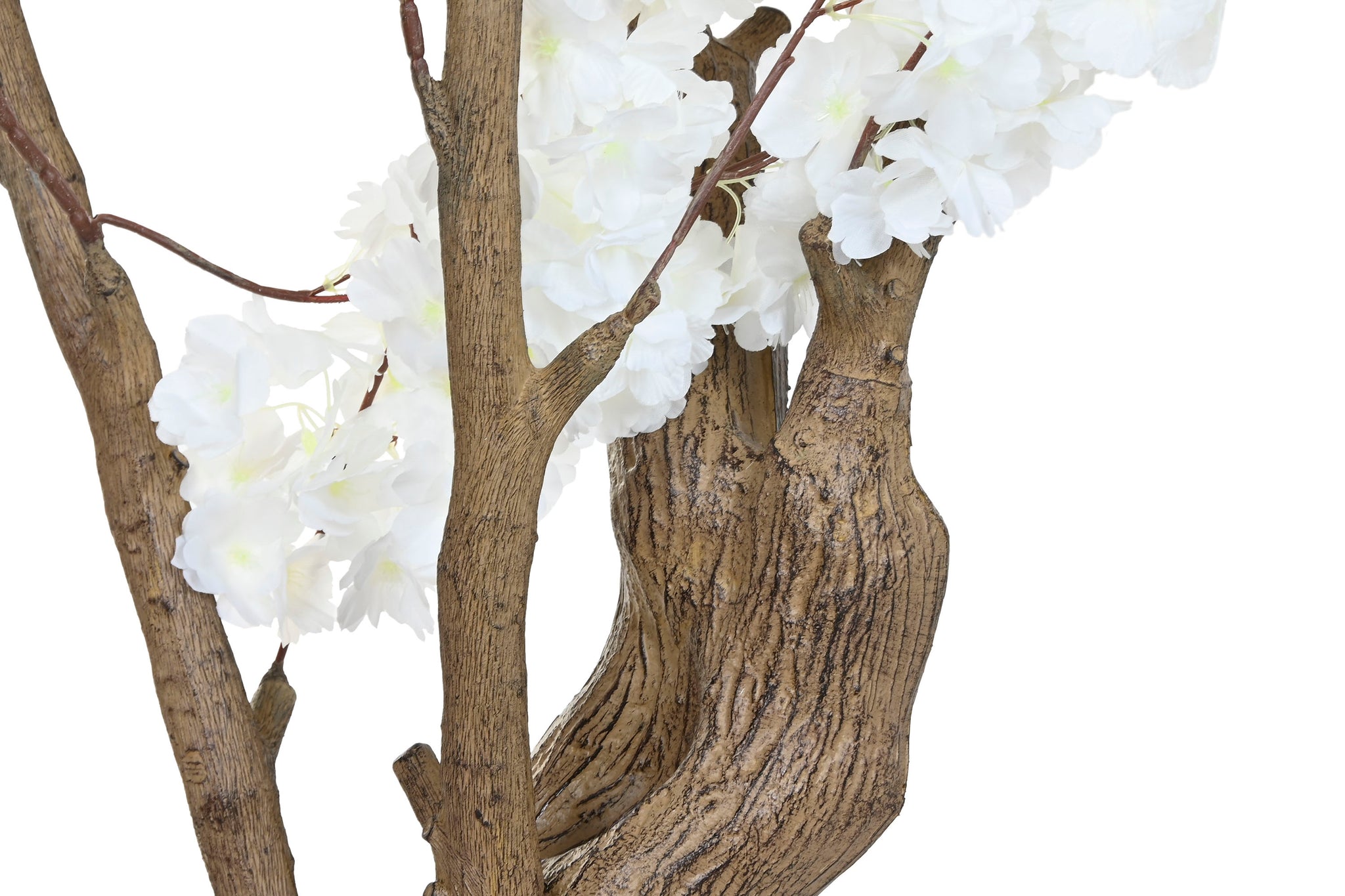 Arbol Pe 80X80X210 Almendro Blanco