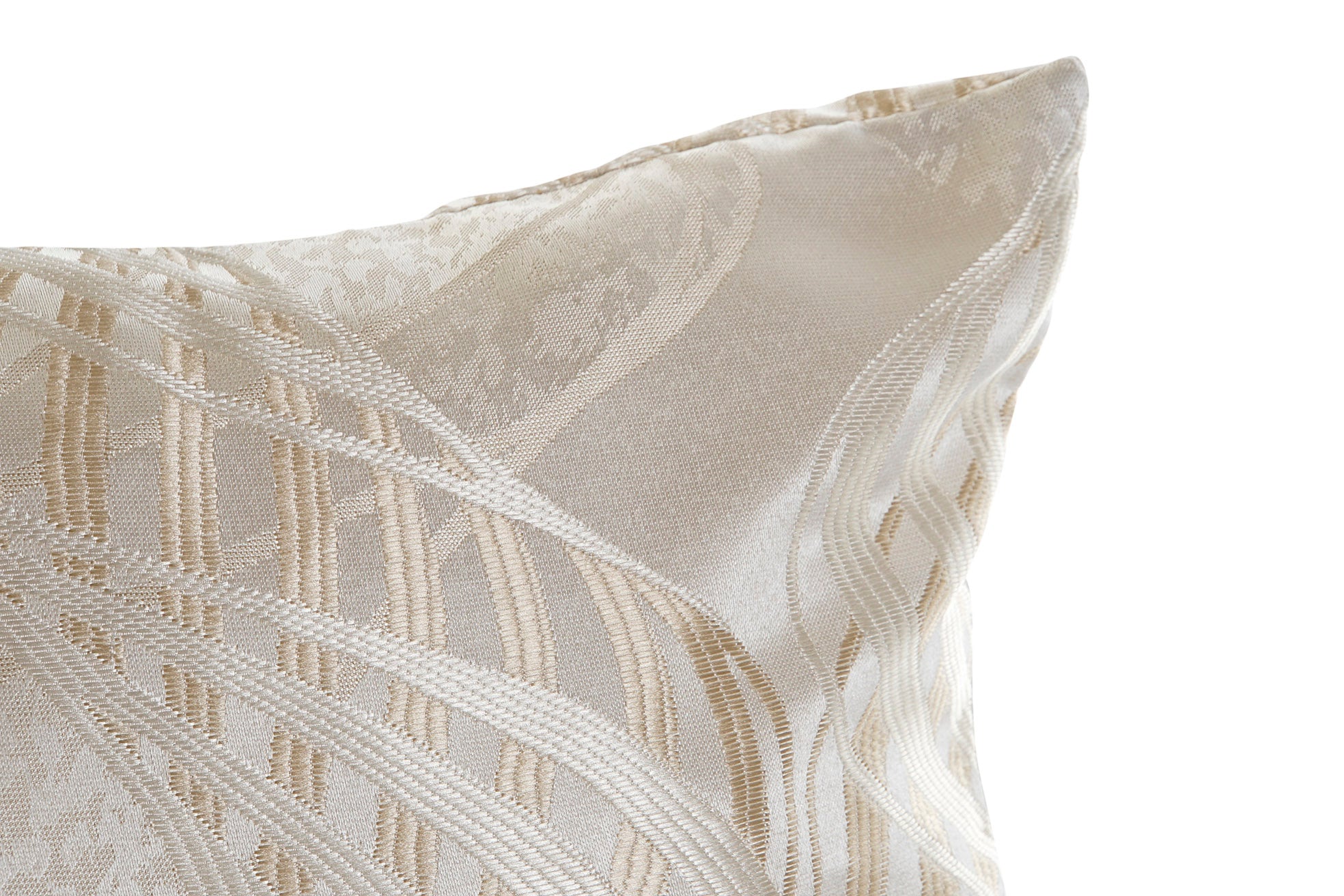 Cojin Poliester 50X30 350 Gr. Beige
