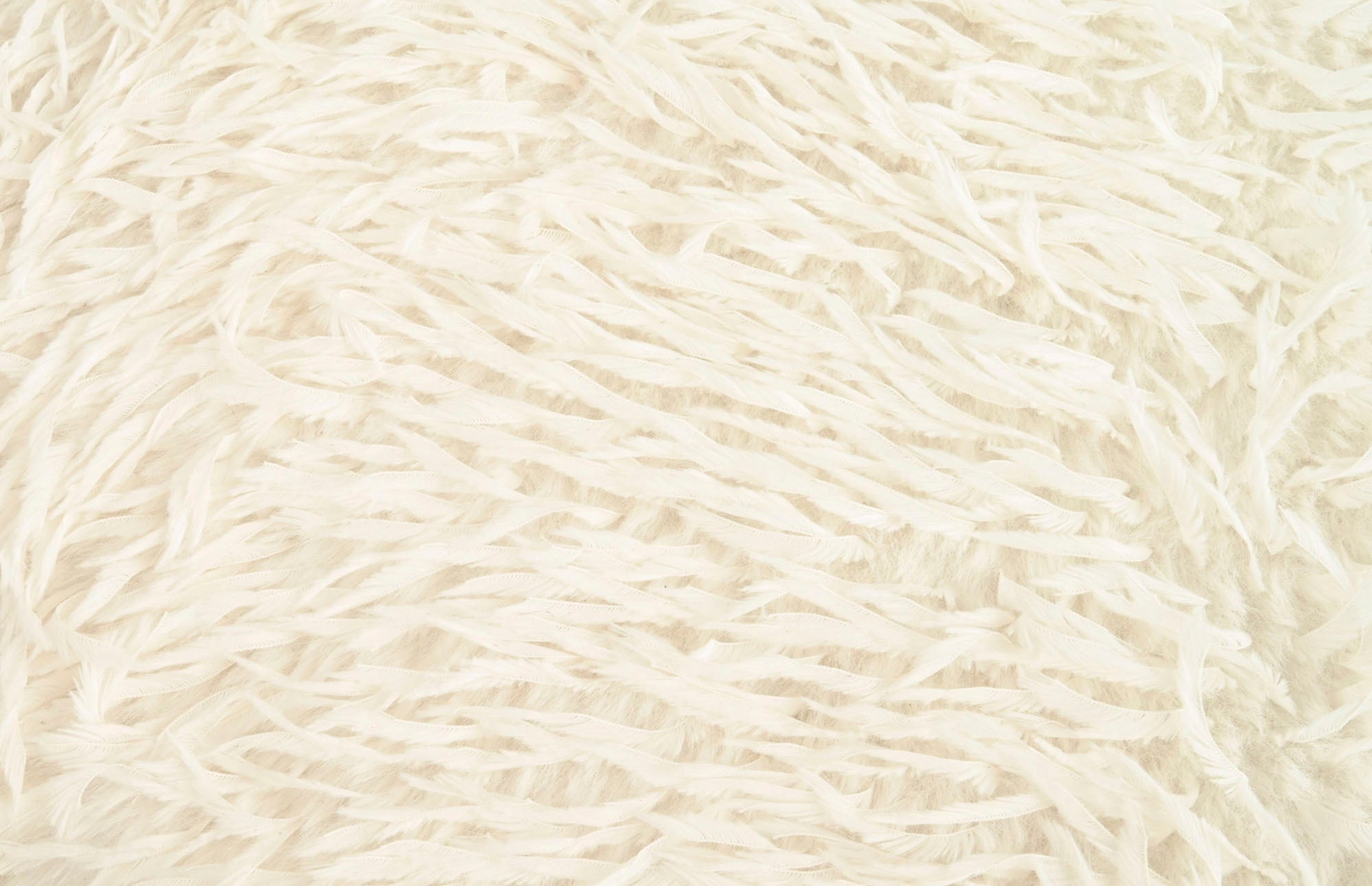 Alfombra Poliester 200X300 700 Gsm Antideslizante