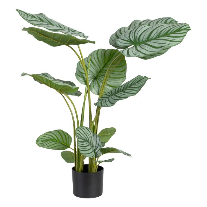 Planta Arruruz Verde "Pvc" 75 X 85 X 92 Cm