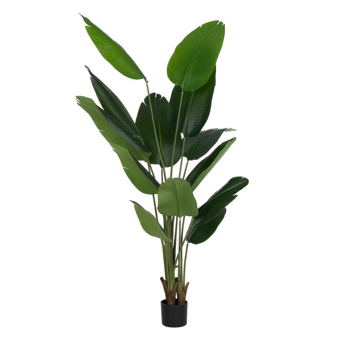 Planta Strelitzia Verde Artificial 80 X 75 X 180 Cm