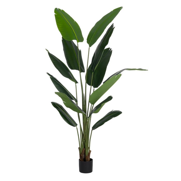 Planta Strelitzia Verde Artificial 80 X 75 X 180 Cm